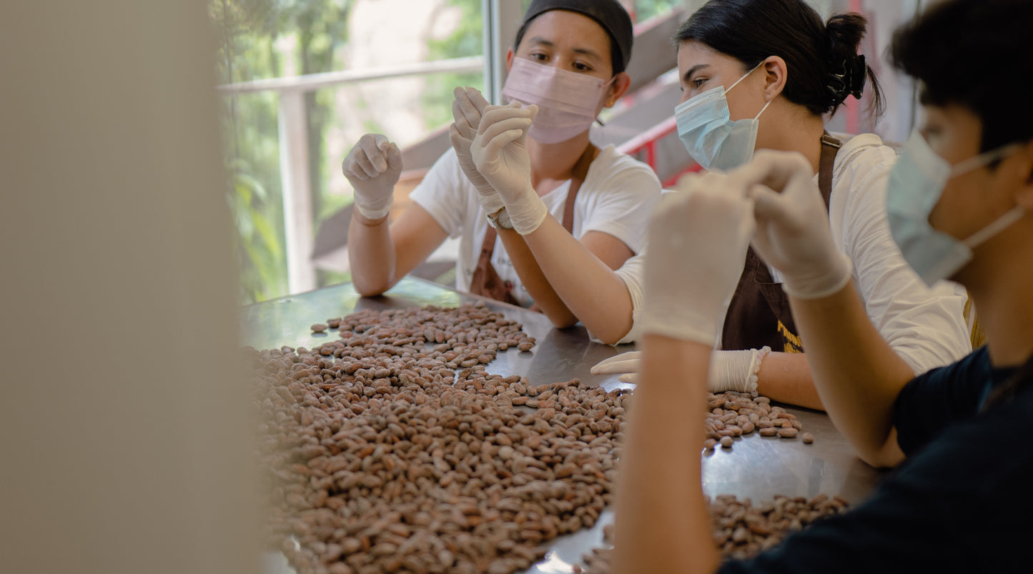 What Is Bean To Bar Chocolate?